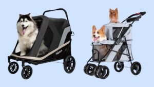 benefits of using a dog stroller