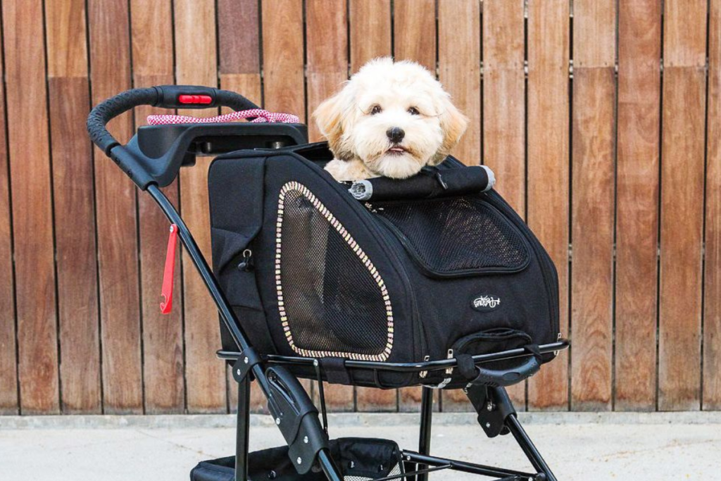 Why You Might Need a Dog Stroller