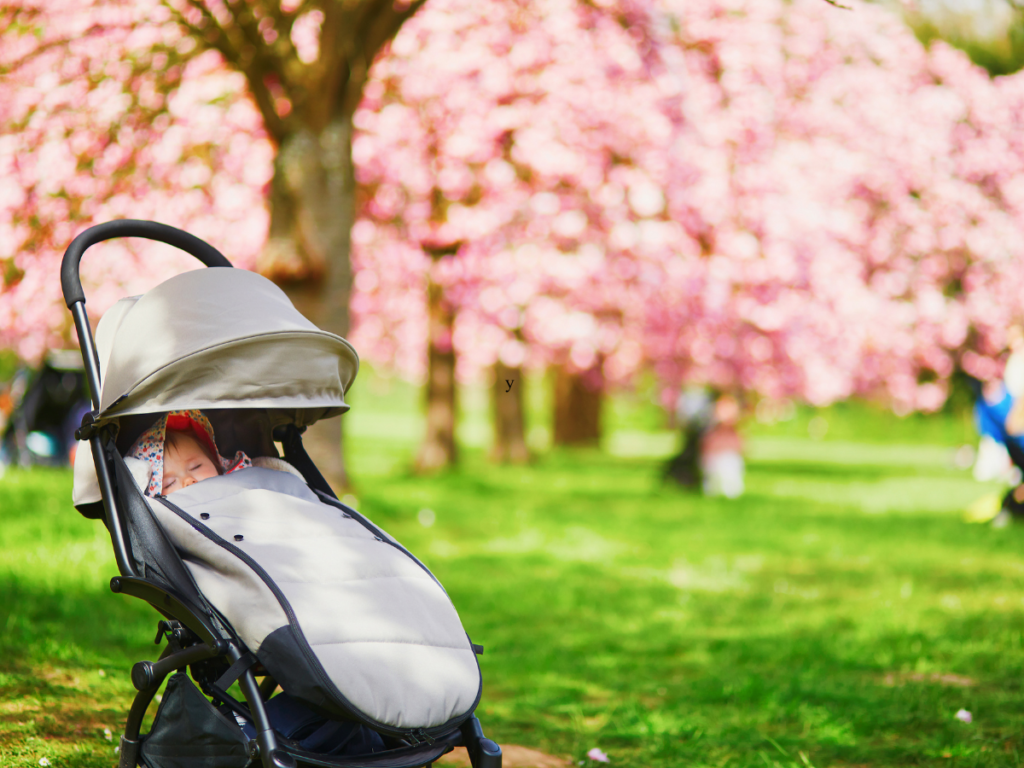 Signs Your Baby Is Ready for a Front-Facing Stroller